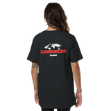 CarWorlds – Driven Around the Globe - CarWorlds GmbH