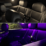 Mini Ambiente LEDs – 12er Pack - AmbiCore - CarWorlds GmbH