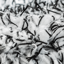 Laden Sie das Bild in den Galerie-Viewer, FUZZLE Mikrofaser Waschhandschuh